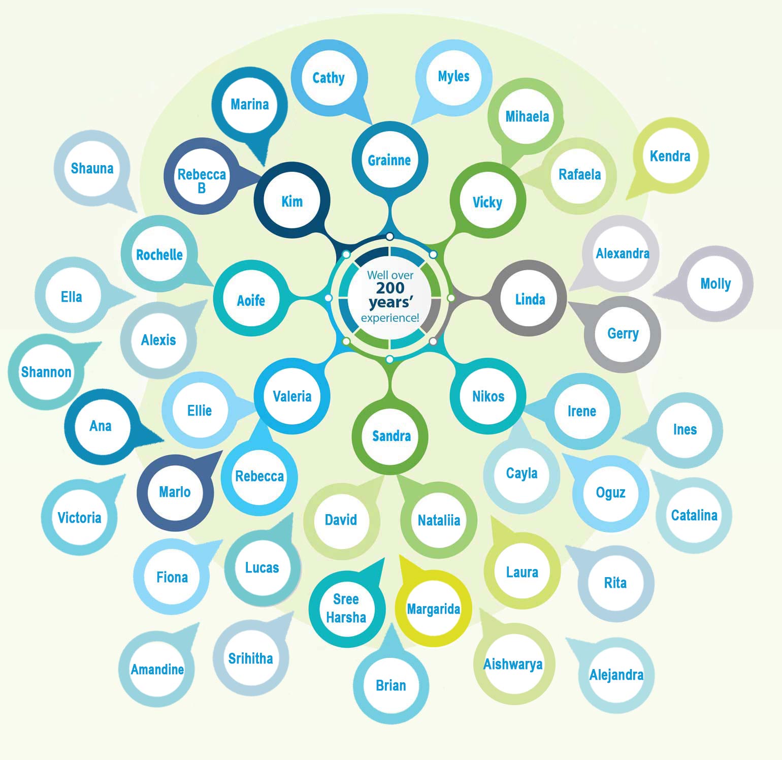 Our Team members graph